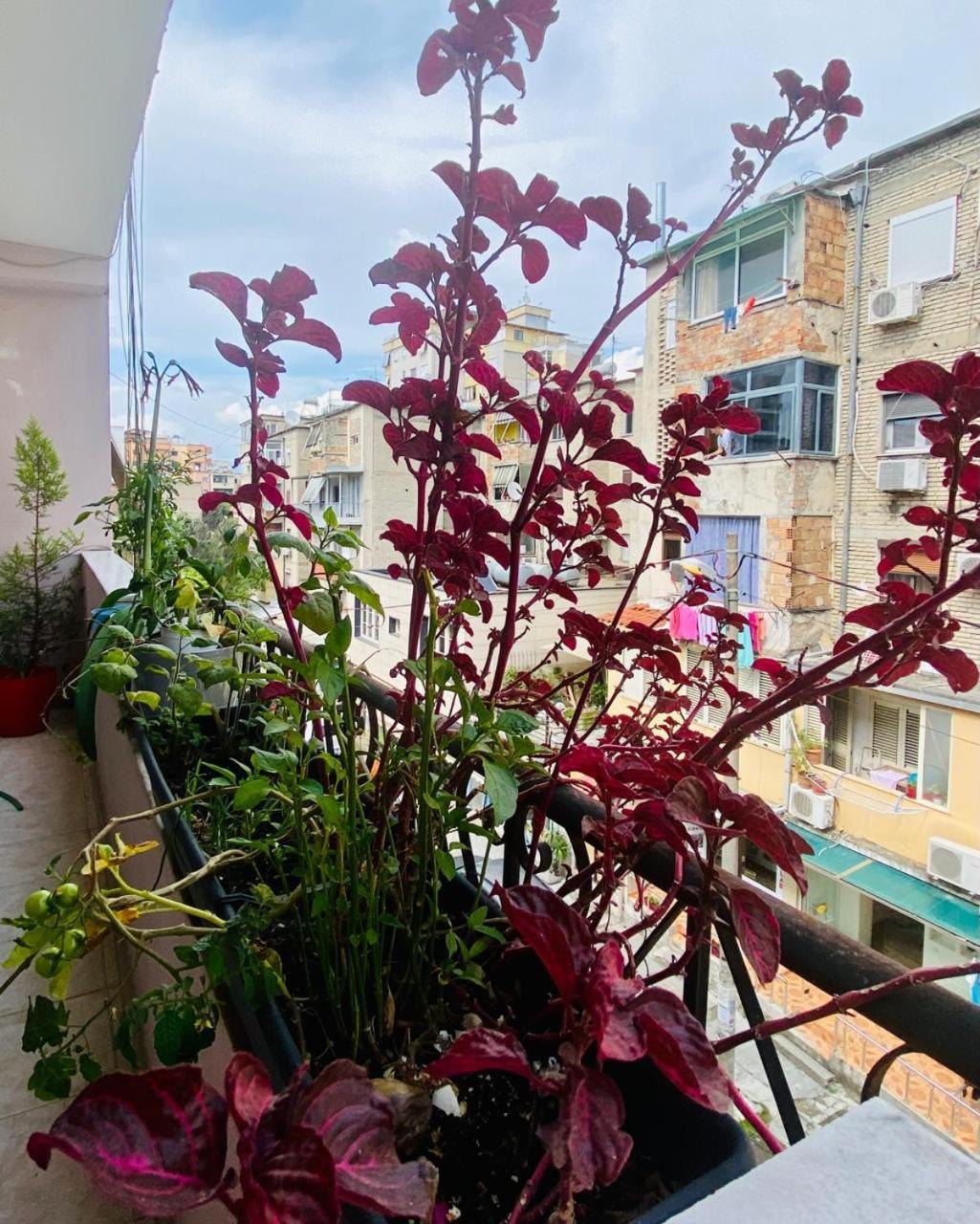 Apartment Tirana Esterno foto